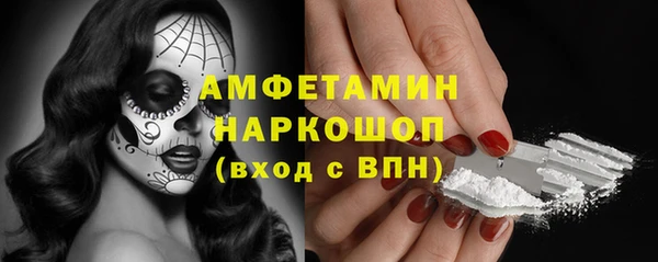 сатива Алзамай