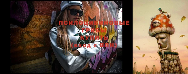 сатива Алзамай