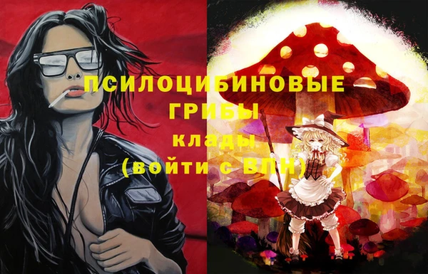 соль курить ск Алексеевка